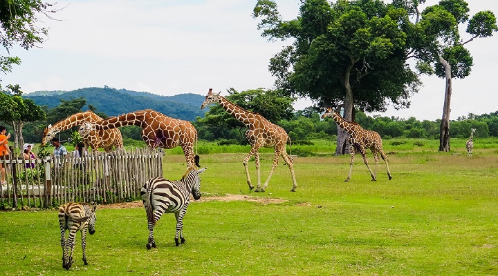 5 Calauit Island National Park