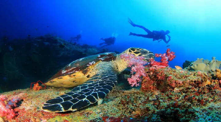 Big Lagoon